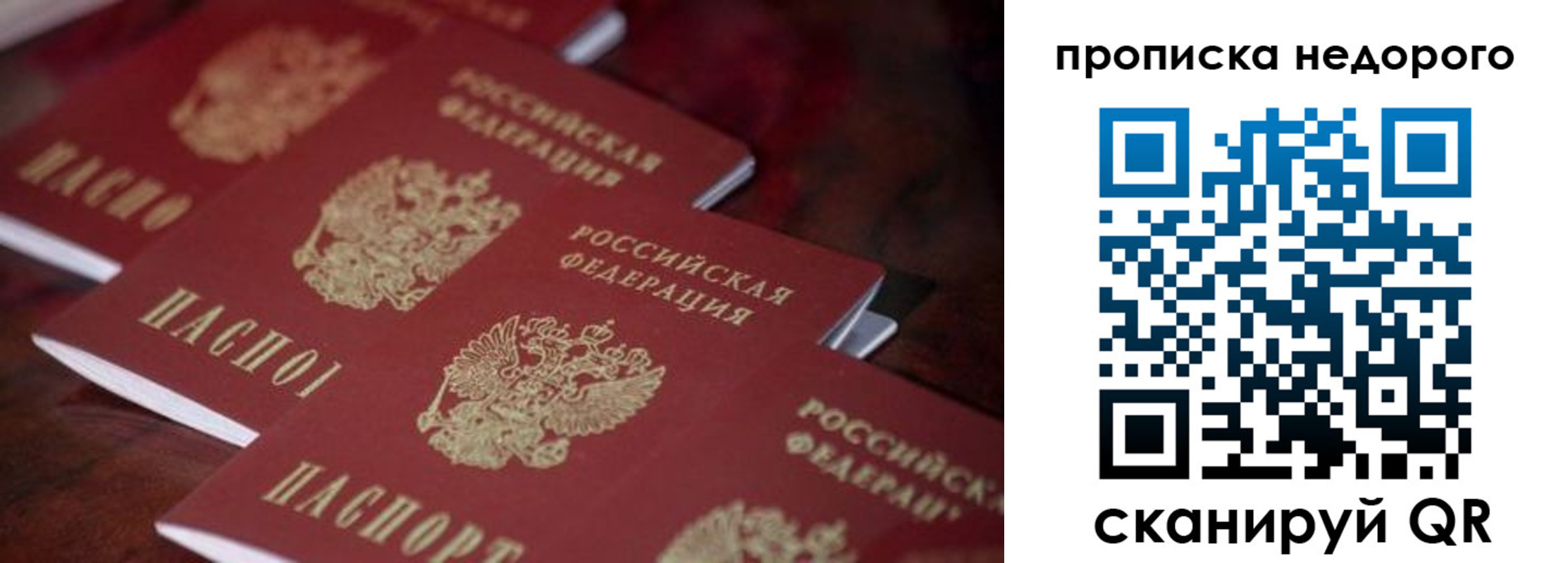 прописка гарантия в Хабаровске